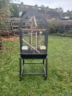 Papegaai kooi, Dieren en Toebehoren, Ophalen, Zo goed als nieuw, Metaal, Vogelkooi