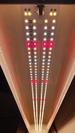 2x Spider Farmer SF-600 LED Kweeklampen - Nieuw!, Minder dan 50 watt, Overige typen, Ophalen of Verzenden, Netvoeding