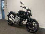 Prachtige Suzuki SFV 650 GLADIUS SFV650GLADIUS (bj 2011), 2 cilinders, Bedrijf, Meer dan 35 kW, 650 cc