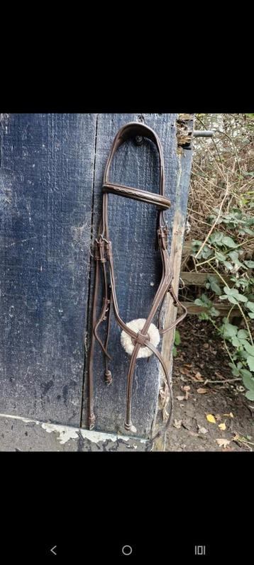 Mexicaans hoofstel beschikbaar voor biedingen