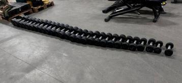 Eleiko Vaste Dumbells 4kg t/m 28kg , 2x38kg beschikbaar voor biedingen