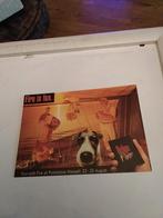 FIRE IS. FUN. PUKKELPOP HASSELT, Ophalen of Verzenden, Overige thema's