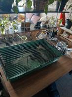 Konijnen hok, Dieren en Toebehoren, Knaagdieren en Konijnen | Hokken en Kooien, Ophalen, 110 cm of meer, Zo goed als nieuw, 90 cm of meer