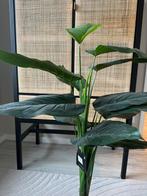 Mica Decorations Kunstplant - Nieuw, Ophalen, Nieuw