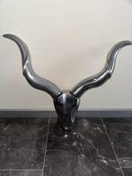 Skull voor aan de muur, Ophalen of Verzenden