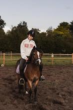 Te lease lieve a pony, Dieren en Toebehoren, Stalling en Weidegang