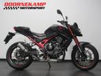 Honda CB 750 HORNET (bj 2023), Doornekamp Motorsport, 755 cc, 12 t/m 35 kW, Naked bike