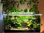 Complete aquariumset 120x60x60, vissen, FX4, CO2, en meer, Ophalen, Gebruikt, Gevuld zoetwateraquarium