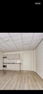 Gratis Systeemplafond Platen, Doe-het-zelf en Verbouw, Platen en Panelen, Ophalen, Gebruikt, Overige materialen, Minder dan 20 mm