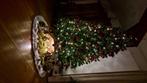 Kerstboom, Diversen, Kerst, Ophalen, Zo goed als nieuw