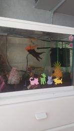 Aquarium+ vissen, Dieren en Toebehoren, Vissen | Aquaria en Toebehoren, Ophalen, Zo goed als nieuw