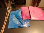 4 lampionsticks met 4 lampions waarvan 2 roze en 2 blauwe, Ophalen of Verzenden, Nieuw