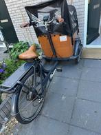 Baboe bakfiets elektrisch, Ophalen of Verzenden