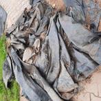 Worteldoek van 2018 gratis, Ophalen of Verzenden