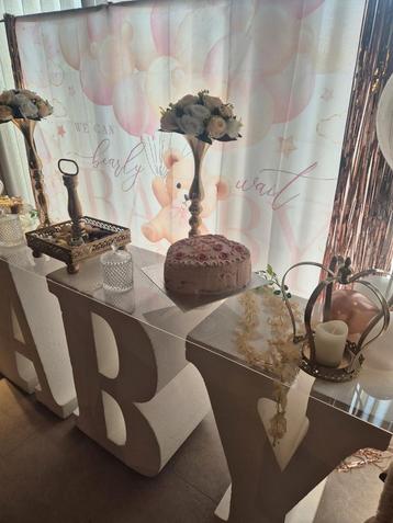 Te huur Gender reveal jongen meisje babyshower baby borrel  beschikbaar voor biedingen