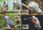 WWF set maxikaarten van de Grijze Roodstaartpapegaai, Ophalen of Verzenden, Gestempeld, Dier of Natuur