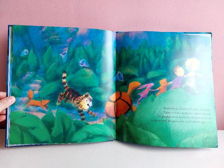 Boek De elfjes van Dromenland - Jane Simmons 2001, Boeken, Prentenboeken en Plaatjesalbums, Zo goed als nieuw, Prentenboek, Ophalen of Verzenden