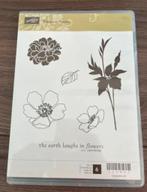 Stampin' Up! - Fabulous Florets (nieuw), Hobby en Vrije tijd, Ophalen of Verzenden, Nieuw, Clearstamp