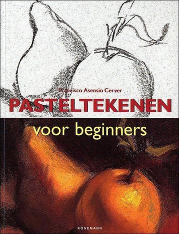 Pasteltekenen voor beginners - Francisco Asensio Cerver beschikbaar voor biedingen