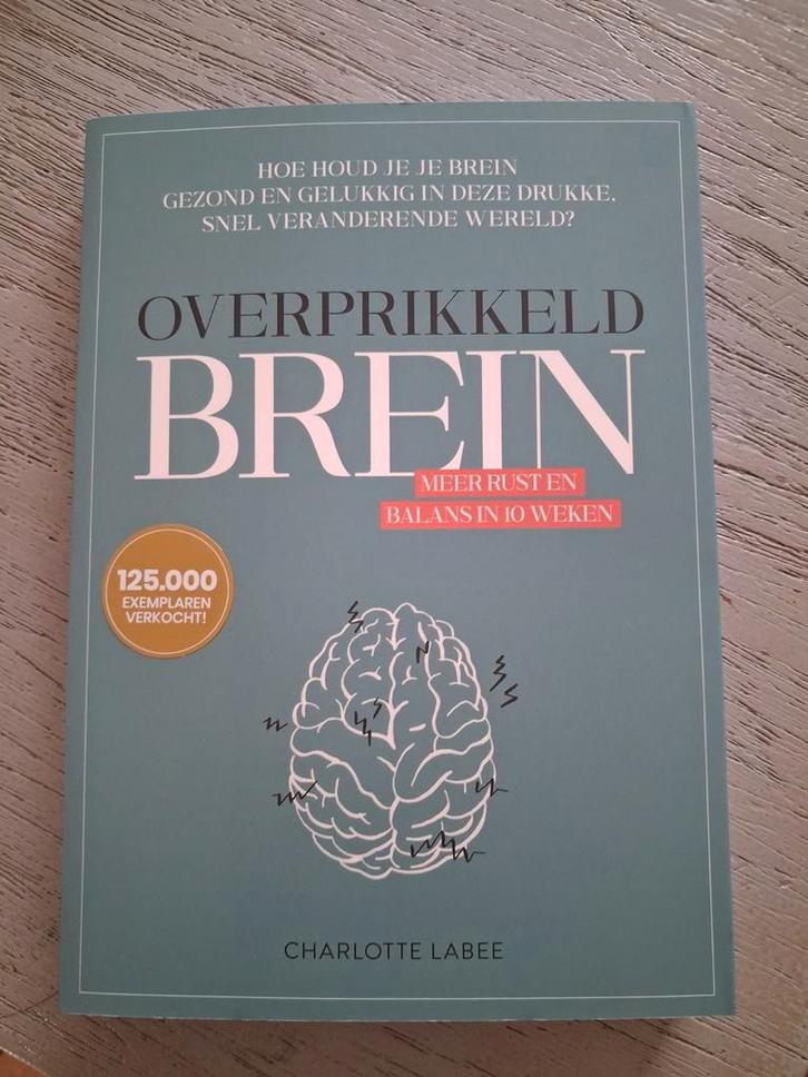 Charlotte Labee - Overprikkeld brein, Boeken, Psychologie, Zo goed als nieuw, Ophalen of Verzenden