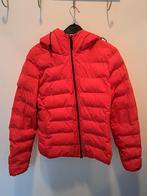 Superdry dames winterjas dons maat Eur 40, Maat 38/40 (M), Superdry, Ophalen of Verzenden, Zo goed als nieuw