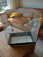 vogelkooi, Ophalen, Zo goed als nieuw, Metaal, Vogelkooi