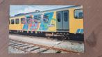 Foto TREIN NS Nederlandse Spoorwegen 3106 Wadloper reclame, Verzenden, Gebruikt, Trein, Overige typen