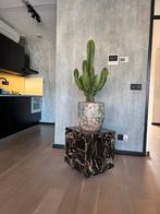 Marmeren Sokkel - Plantenstandaard / Decoratie, Ophalen, Overige soorten, Halfschaduw, Minder dan 100 cm