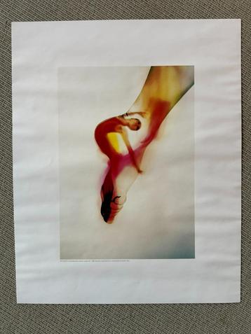 Prachtige Art Print Ballet danseres Alan David-Tu 