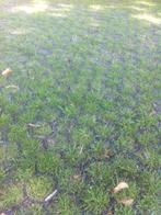 groene EasyGravel 3XL grasroosters/grindplaten, Ophalen, Kunststof, Overige typen, Nieuw