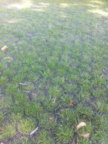 groene EasyGravel 3XL grasroosters/grindplaten beschikbaar voor biedingen