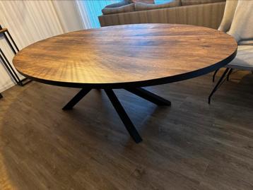 Eetkamer tafel 250x128 ovaal Lamulux blad beschikbaar voor biedingen
