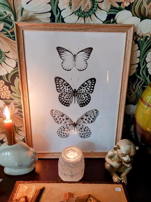 Ingelijste Vlinder Prent, Huis en Inrichting, Woonaccessoires | Wanddecoraties, Zo goed als nieuw, Ophalen of Verzenden