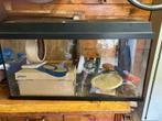 Glazen aquarium voor hamster, Minder dan 75 cm, Minder dan 60 cm, Hok, Ophalen