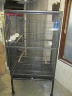 mooie voliere, Dieren en Toebehoren, Vogels | Hokken en Kooien, Ophalen, Zo goed als nieuw, Metaal, Vogelkooi