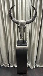 Grey skull op standaard, Ophalen, Zo goed als nieuw