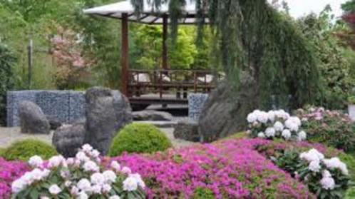 Korting pp entree Bloemenpark Appeltern (max. 4 personen), Tickets en Kaartjes, Recreatie | Overige, Drie personen of meer, Kortingskaart
