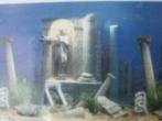 Aquarium achtergrond, Ophalen of Verzenden, Nieuw, Plant(en), Steen of Hout