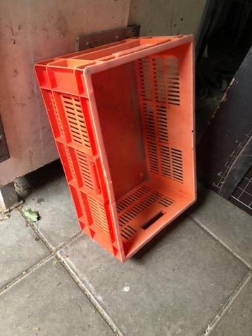rode fruit kist(zie foto beschikbaar voor biedingen