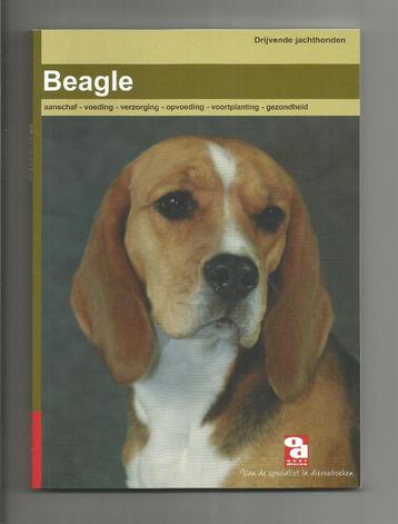 Beagle -  Aanschaf, voeding, verzorging, gedrag, opvoeding beschikbaar voor biedingen
