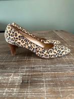 Tijgerprint pumps Mauro Teci maat 41,5, Kleding | Dames, Schoenen, Mauro Teci, Pumps, Overige kleuren, Ophalen of Verzenden