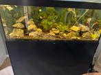 GROOT AQUARIUM SUPER COMPLEET 600L, Dieren en Toebehoren, Ophalen of Verzenden, Zo goed als nieuw, Leeg aquarium