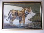 Schilderij Tijger - Olieverf, lijst goud verguld, Ophalen of Verzenden