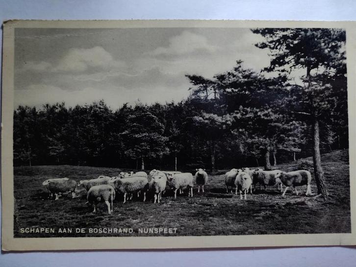 Q1219 Nunspeet, Verzamelen, Ansichtkaarten | Nederland, Gelderland, 1920 tot 1940, Ophalen of Verzenden