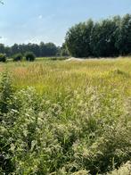 Hooi pakjes, Dieren en Toebehoren, Stalling en Weidegang