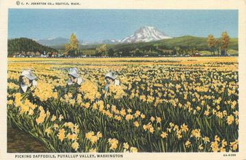 (701-487-011) Puyallup Valley Washington beschikbaar voor biedingen