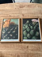 2 leuke houten lijsten met cactus afbeelding!, Minder dan 50 cm, Zo goed als nieuw, Hout, Ophalen