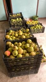 Goudreinet onbespoten, Diversen, Levensmiddelen, Ophalen of Verzenden