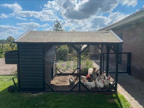 Kippenhok met extra groot legnest, Dieren en Toebehoren, Pluimvee, Kip, Geslacht onbekend