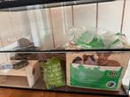 Terrarium en hamster toebehoren, Gebruikt, 75 tot 110 cm, Ophalen, Minder dan 60 cm
